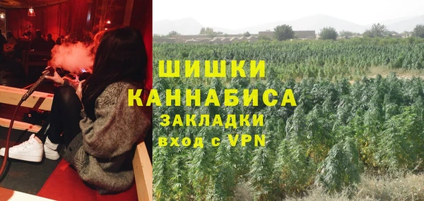 крисы Гусь-Хрустальный