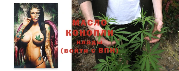крисы Гусь-Хрустальный