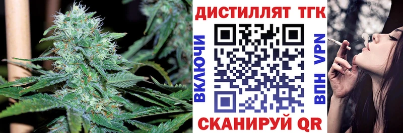 Купить где  Оленегорск  ТГК вейп 